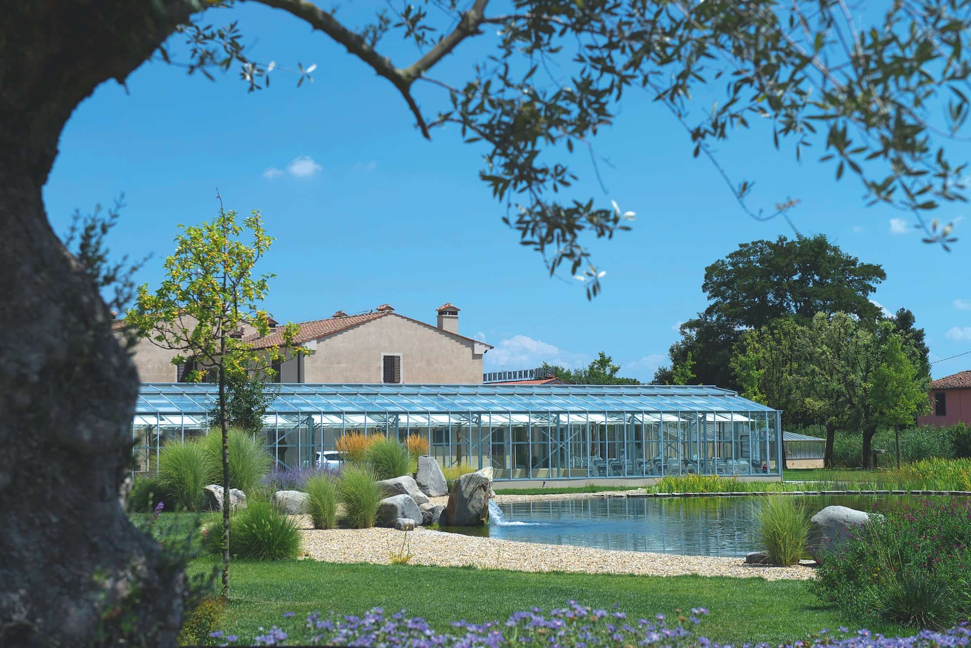 PISTOIA NURSERY CAMPUS UN AGRITURISMO A 5 GIRASOLI