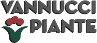 vannucci piante